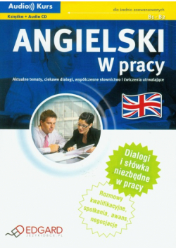 Michalik Mariusz - Angielski W pracy z płytą CD