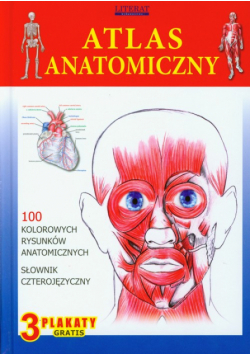 Atlas anatomiczny