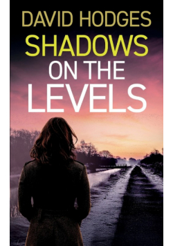 Shadows On The Levels