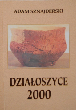 Działoszyce 2000