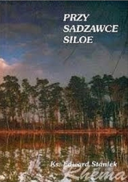 Przy sadzawce Siloe