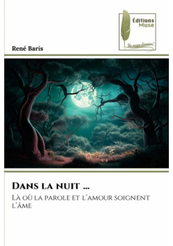 Dans la nuit ...