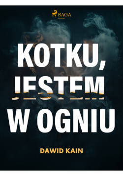 Kotku jestem w ogniu
