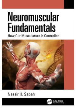 Neuromuscular Fundamentals