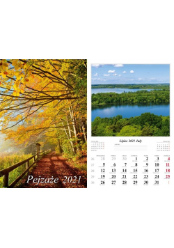 Kalendarz 2021 Pejzaże 13 planszowy RADWAN