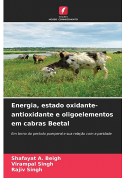 Energia, estado oxidante-antioxidante e oligoelementos em cabras Beetal