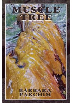 Muscle Tree