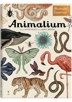 Animalium wydanie 3