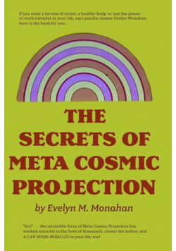 The Secrets of Meta-Cosmic Projection