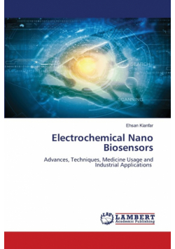 Electrochemical Nano Biosensors