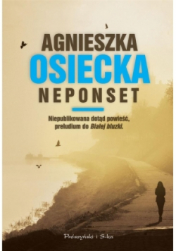Neponset