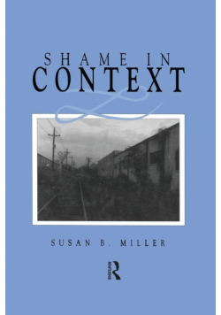 Shame in Context
