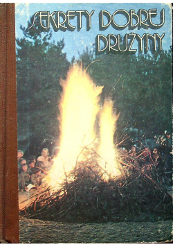 Sekrety dobrej drużyny