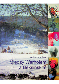 Między Warholem a Beksińskim