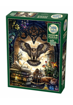 Puzzle 1000 Biurko alchemika G3
