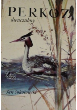 Perkoz dwuczubny