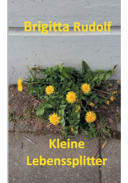 Kleine Lebenssplitter