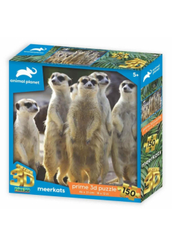 Puzzle Prime 3D 150
