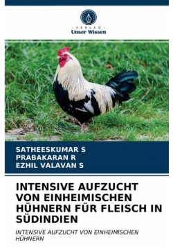 Intensive Aufzucht Von Einheimischen Hühnern Für Fleisch In Südindien