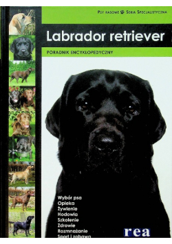 Labrador retriewer Poradnik encyklopedyczny