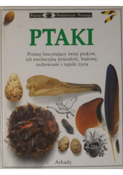 Ptaki
