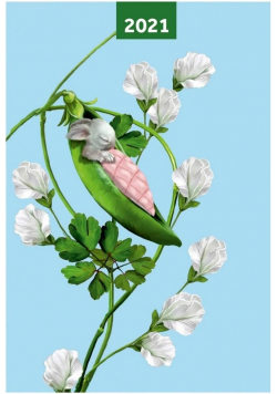 Kalendarz 2021 A6 tygodniowy Pea Pods NARCISSUS