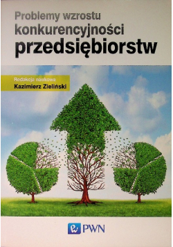 Problemy wzrostu konkurencyjności przedsiębiorstw