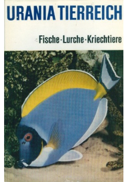 Urania tierreich