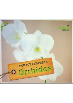 Orchidee