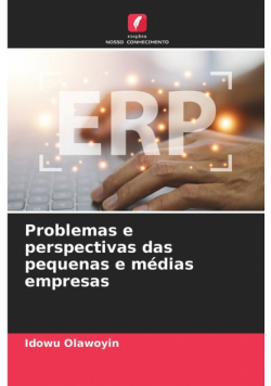 Problemas e perspectivas das pequenas e médias empresas