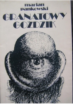 Granatowy goździk
