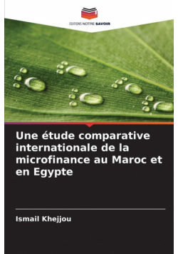 Une étude comparative internationale de la microfinance au Maroc et en Egypte