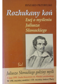 Rozhukany koń