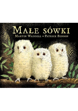 Małe sówki