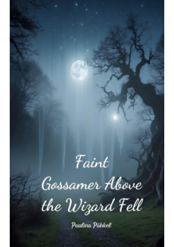 Faint Gossamer Above the Wizard Fell