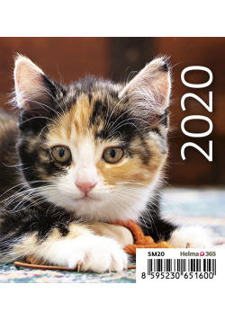 Kalendarz biurkowy Mni Kotki 2020 10 sztuk