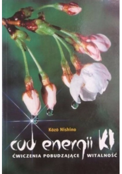 Cud energii KI