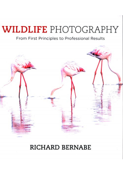 Wildlife Photography