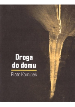 Droga do domu