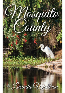 Mosquito County