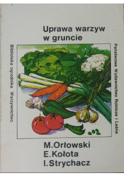 Uprawa warzyw w gruncie
