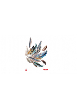 Brulion A4/96K kratka Feathers (5szt)