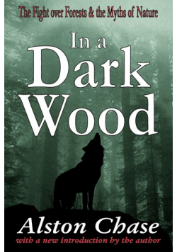 In a Dark Wood