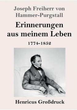 Erinnerungen aus meinem Leben (Großdruck)