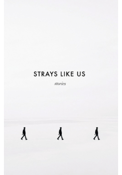 Strays Like Us