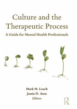 Culture and the Therapeutic Process
