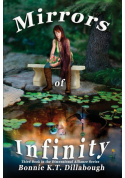 Mirrors of Infinity