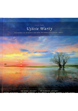 Ujście Warty