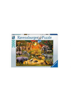Puzzle 2000 Spotkanie dzikich zwierząt