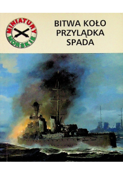 Bitwa koło Przylądka spada